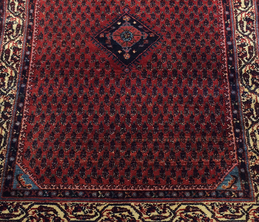 Van Rugs – Alexander Rugs and Carpets